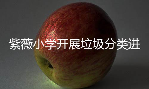 开展小学垃圾紫薇进校动园活分类